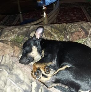 Meet your Posher, Sheila